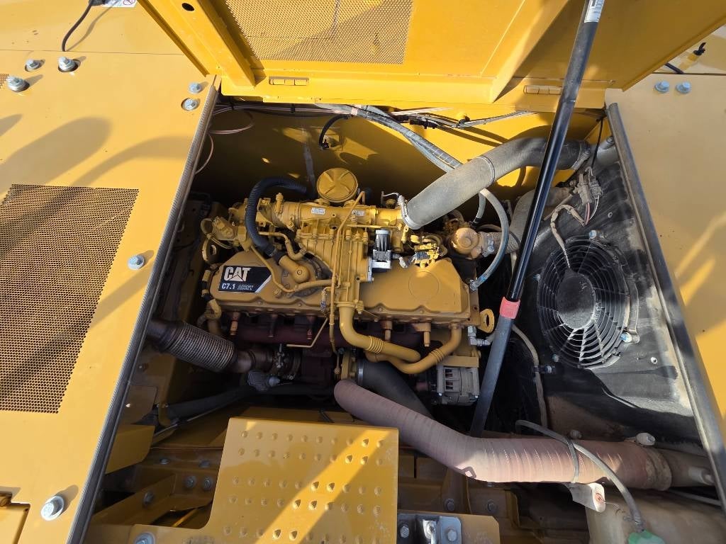 cat-323,d0d088d0.jpg